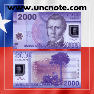 Chile 2,000 Pesos 2016 polymer banknote, front with Manuel Rodríguez portrait; reverse with Lonquimay Volcano landscape and choroy parrot.