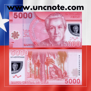 Chile 5,000 Pesos 2014 polymer banknote, front with Gabriela Mistral; reverse with La Campana National Park and tucúquere owl.