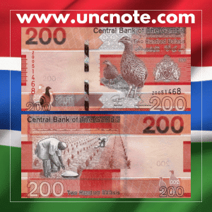 Gambia 200 Dalasis 2019 banknote, front with woman’s portrait; back with children in classroom symbolizing education.