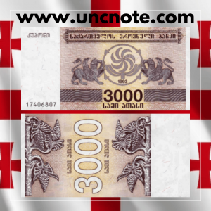 Georgia 3,000 Lari 1993