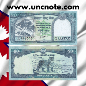 NEPAL 50 Rupias 2019