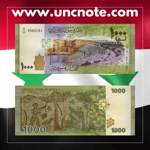 SIRIA 1000 Libras 2013