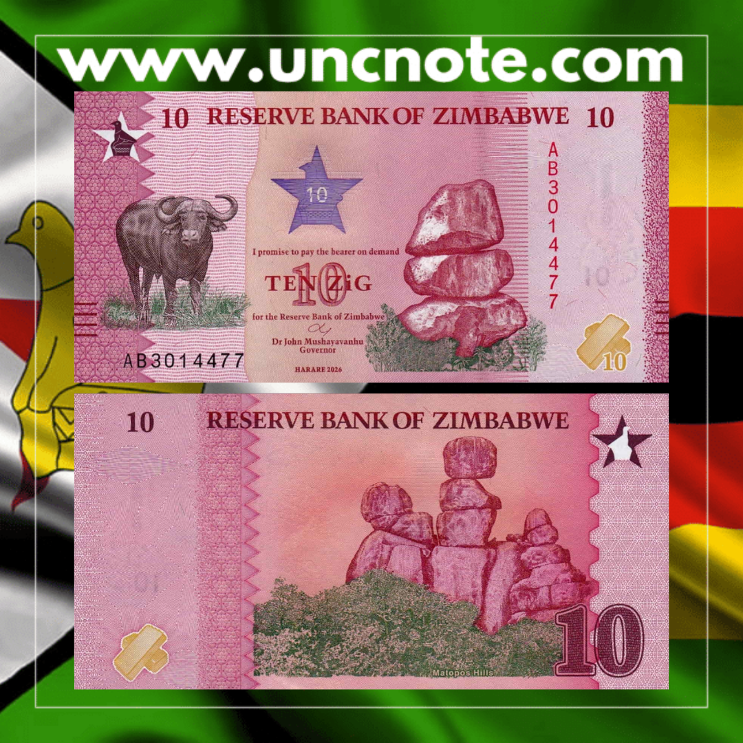 Zimbabwe 10 ZiG 2026